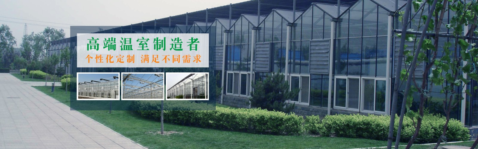 吉祥体育官方网站