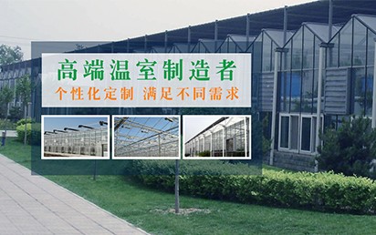 吉祥体育官方网站
